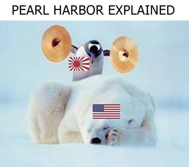 udni621l-jpg.479859.jpeg