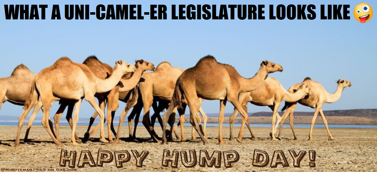 Uni-Camel-er Legislature - HAPPY HUMP DAY.png