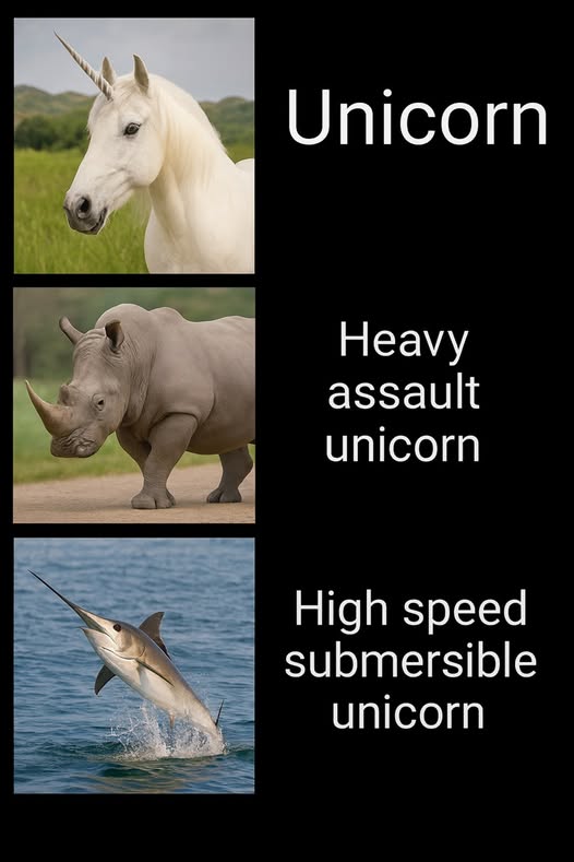 unicorn levels.jpg