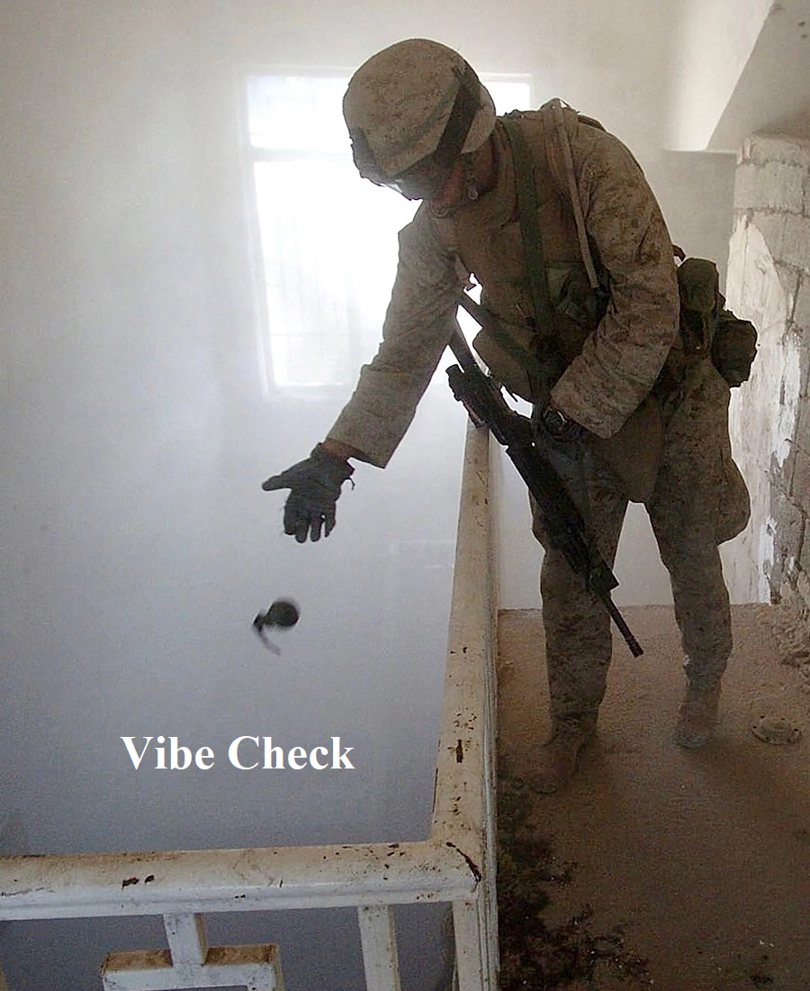 Vibe Check.png