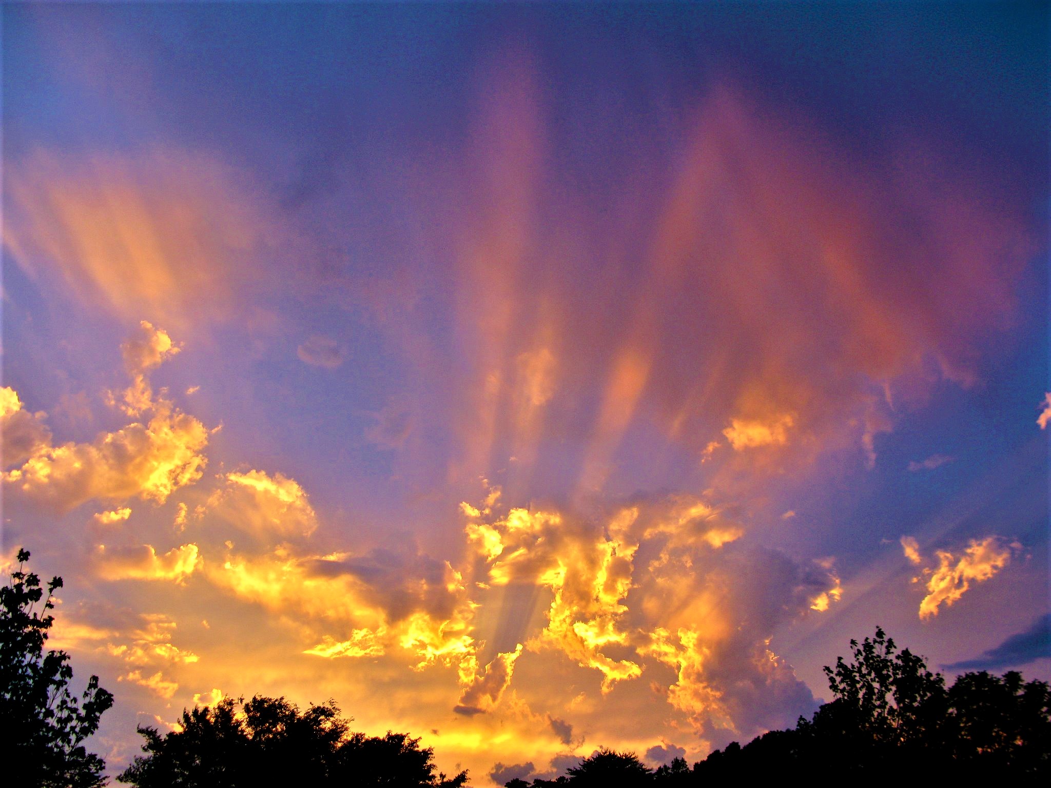 vivid-sunset.jpg