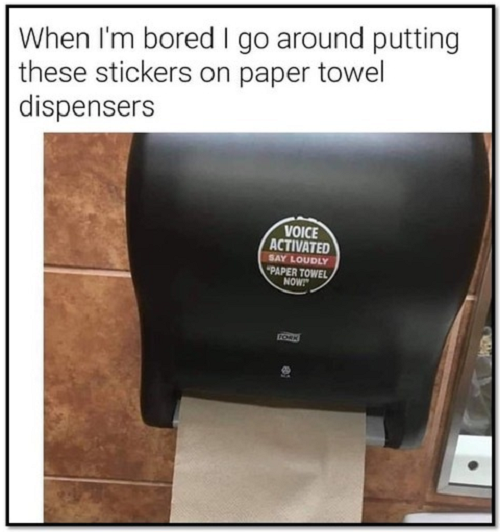 Voice Activated Paper Towels.png
