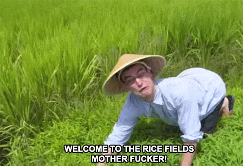 Welcome to the Rice Fields Mother****er [Filthy Frank].gif
