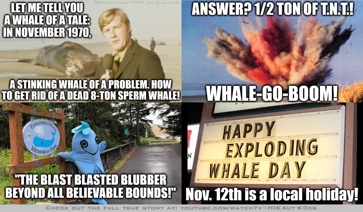 WHALE of a TALE - November 12.png