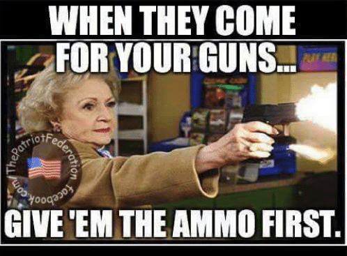 when-they-come-for-your-guns-give-em-the-ammo-27134934 (1).png