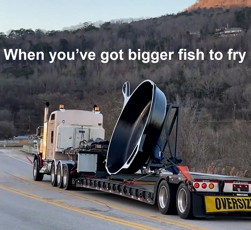 When You’ve Got Bigger Fish to Fry 800p.png