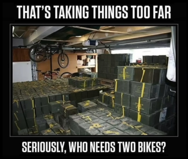 Who Needs 2 Bikes.png