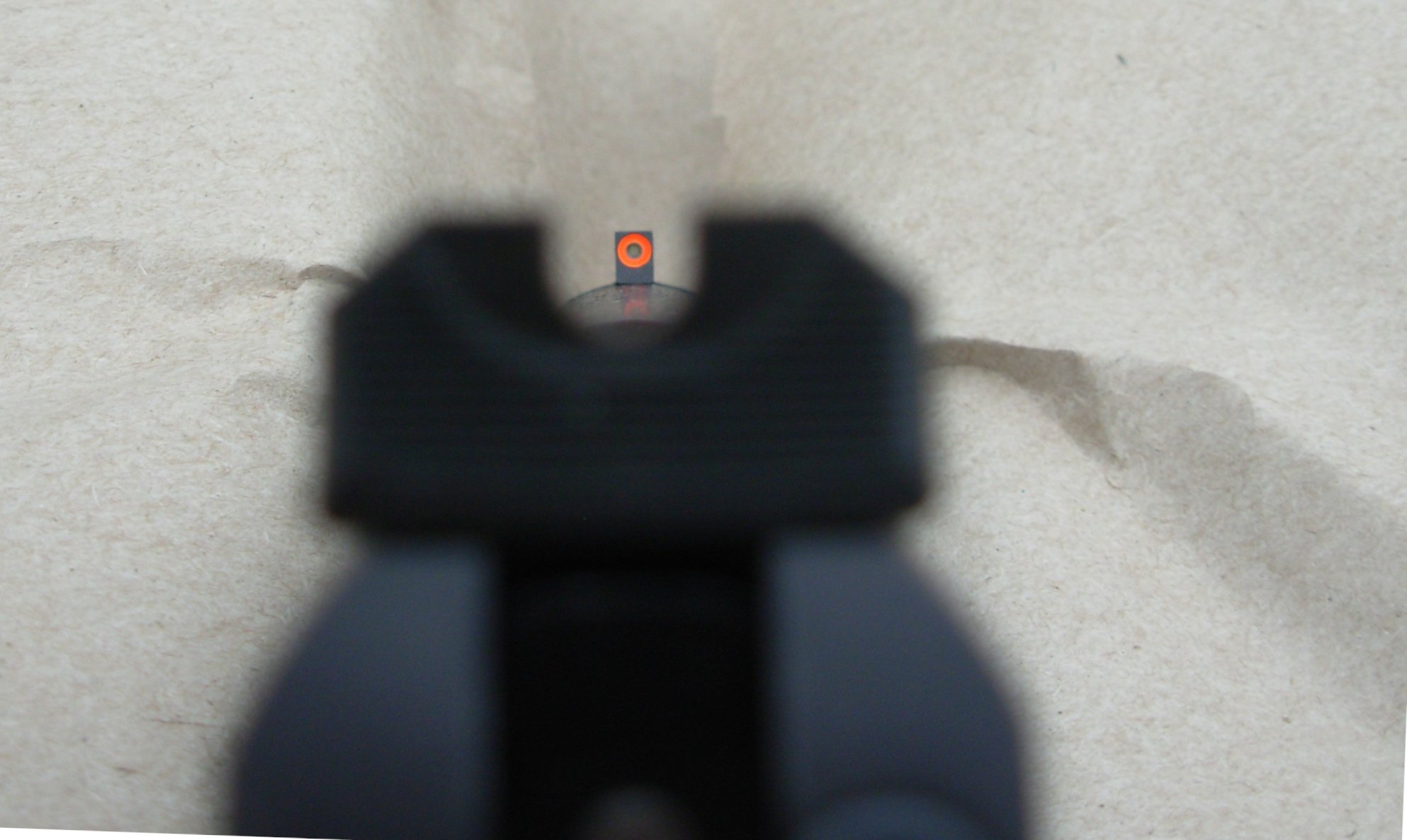 Wilson Rear sight picture.JPG