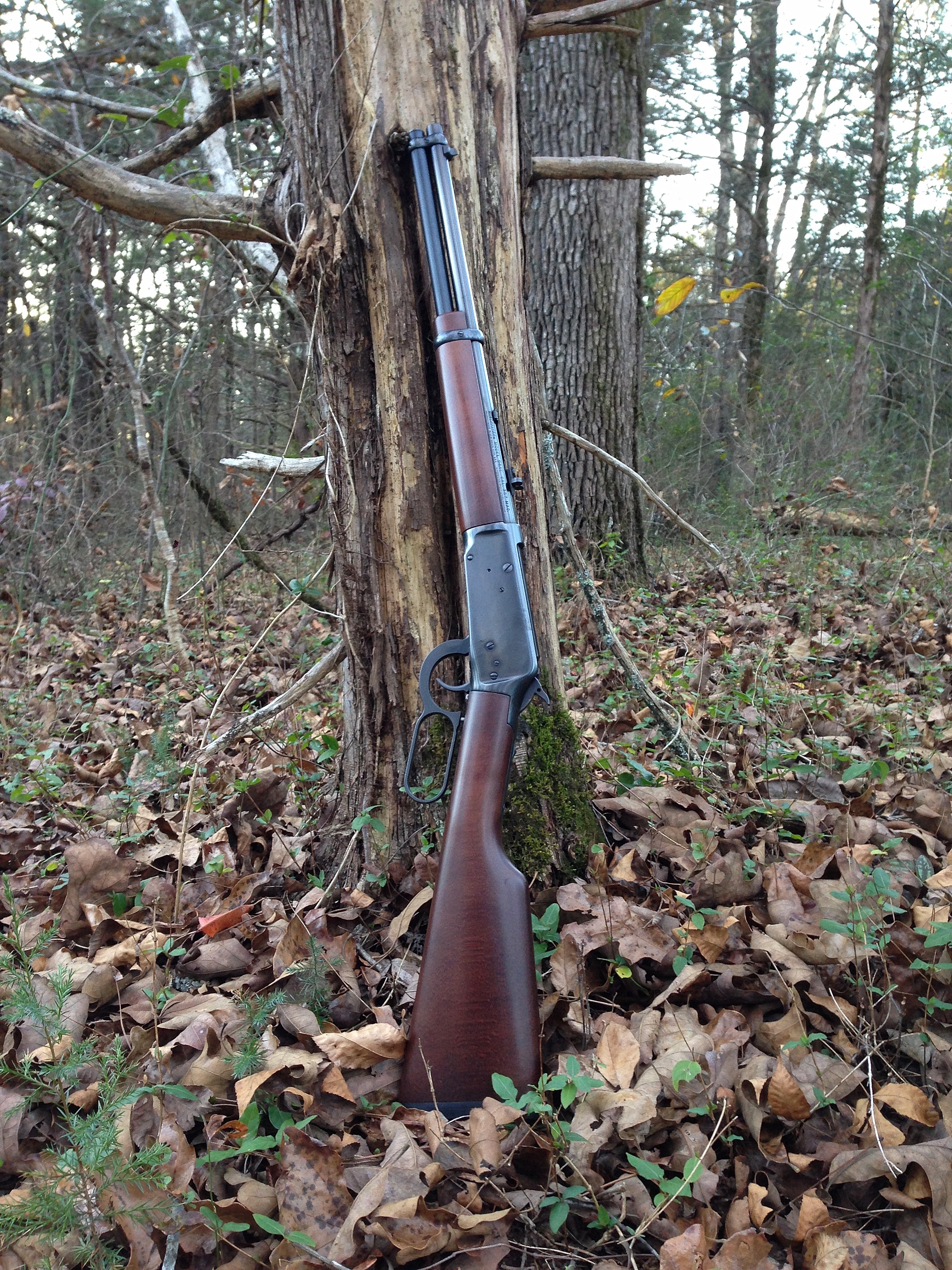 Winchester 94AE 01.jpg