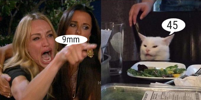 Woman-Yelling-At-Cat.jpg