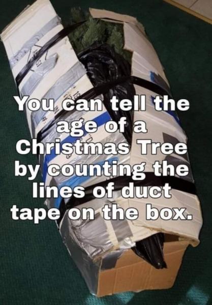 xmas tree rings.jpg