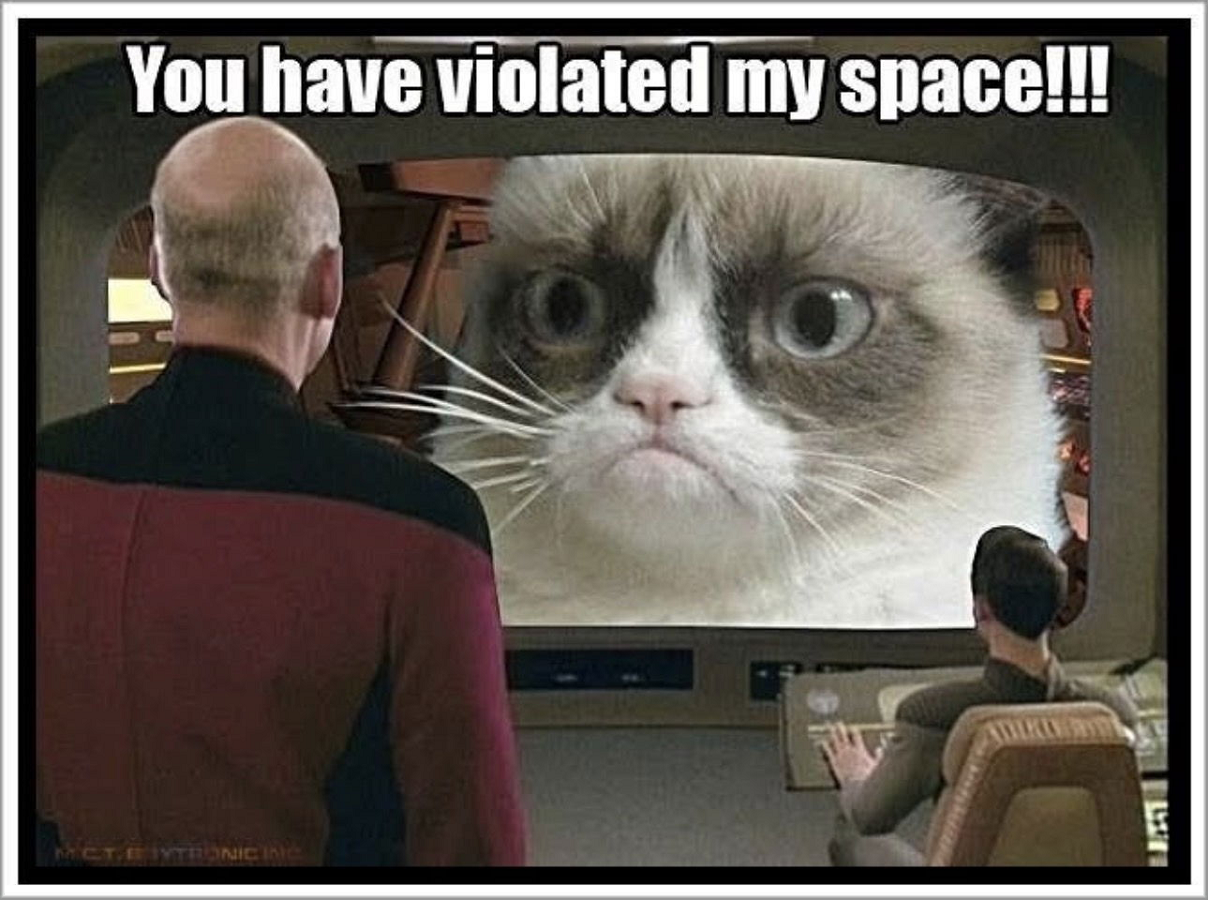 You Violated My Space! [Enterprise Meets Grumpy Cat].png