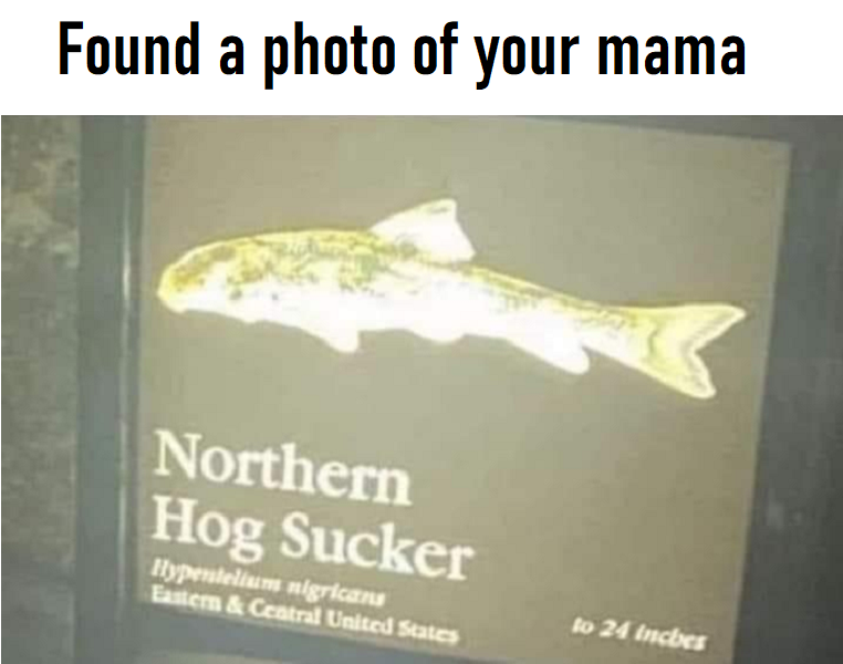 Your Mama Photo.png