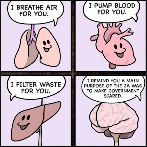 Your Vital Organs - 2A Purpose.png