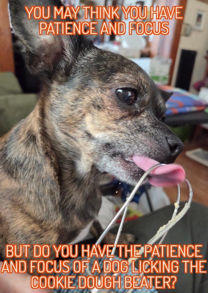 ZomboMeme 22032026142222.jpg