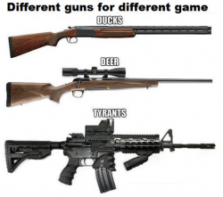 Different Guns.png
