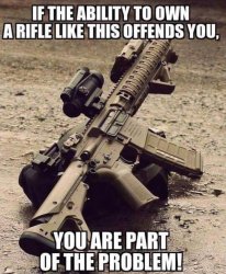 Ability to own rifle offends problem.jpg
