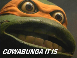 Cowabunga.png