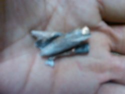IMG00381-20110704-1744.jpg