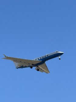 IMG_4568.jpeg