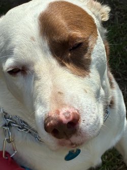 1_25_2026 Stewey.jpeg