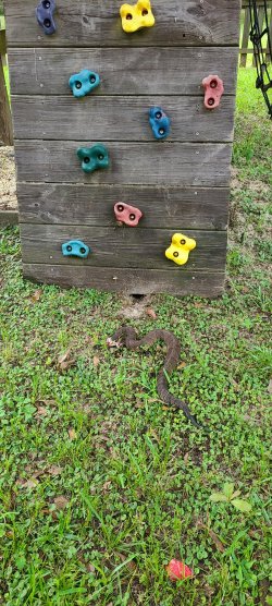 signal-2021-07-31-193015 (1).jpg