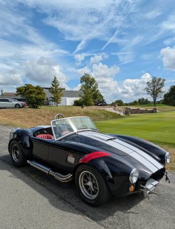 Country Club Cobra.jpg
