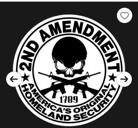 homeland security.jpg