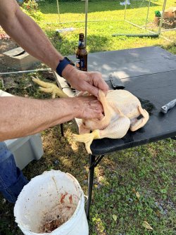 IMG_4033.jpeg