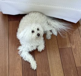 IMG_0206.jpeg