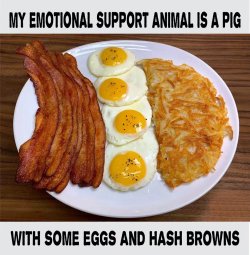 FB_IMG_1787721961976.jpg