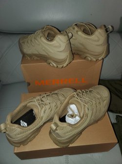 20251204_194643.jpg