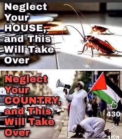 FB_IMG_1790328121108.jpg