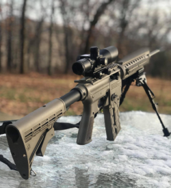 ar 22 w pinty scope.png