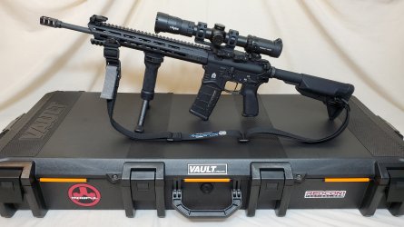 Guns 123.jpg