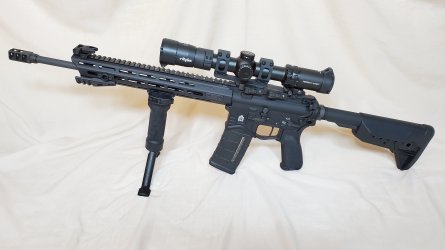 Guns 133.jpg