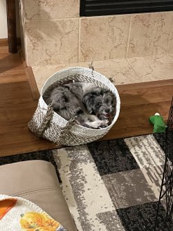 ADA7B0D2-691A-4700-9E92-8A114F268D29.jpeg