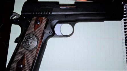 Sig1911EGA.jpg