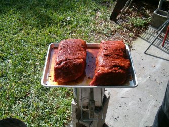BBQ pics 065.jpg