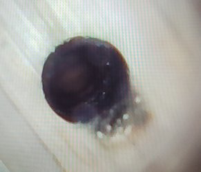 20220218_030705.jpg