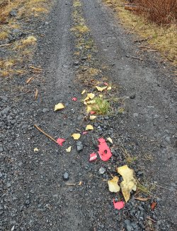 IMG_20220430_120845578_HDR.jpg
