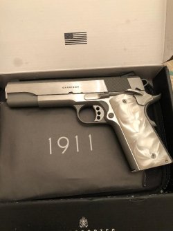 Stainless Garrison 45 ACP.jpg