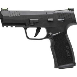 Sig P322.jpg