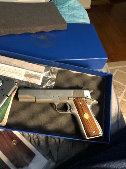 Colt 1911 Stainless.jpg