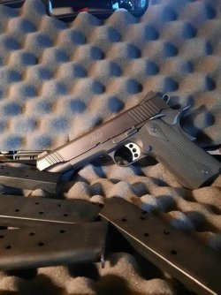 Kimber TLE II.JPG