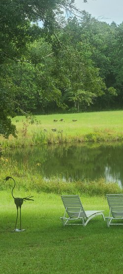 20220720_161818.jpg