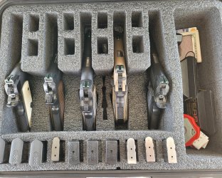 Gun Case.jpg