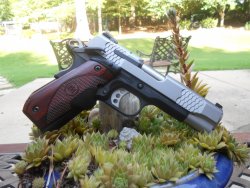 SW1911.JPG