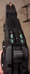 Tg DP 1 (2).jpg