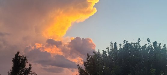 20220901_201719.jpg